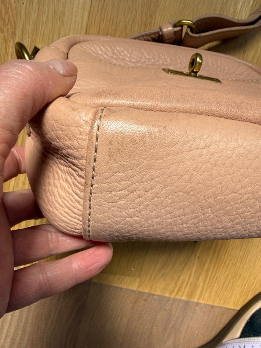 J. Crew Blush Pebbled Leather Crossbody with Gold Hardware - Picture 3 of 16